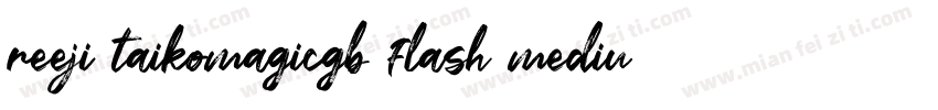 reeji taikomagicgb flash medium字体转换